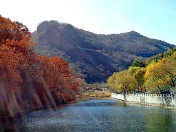 澳门版全年免费大全，北京线路板